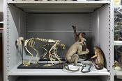 museum de histoire naturelle rouen 10-2021 0187